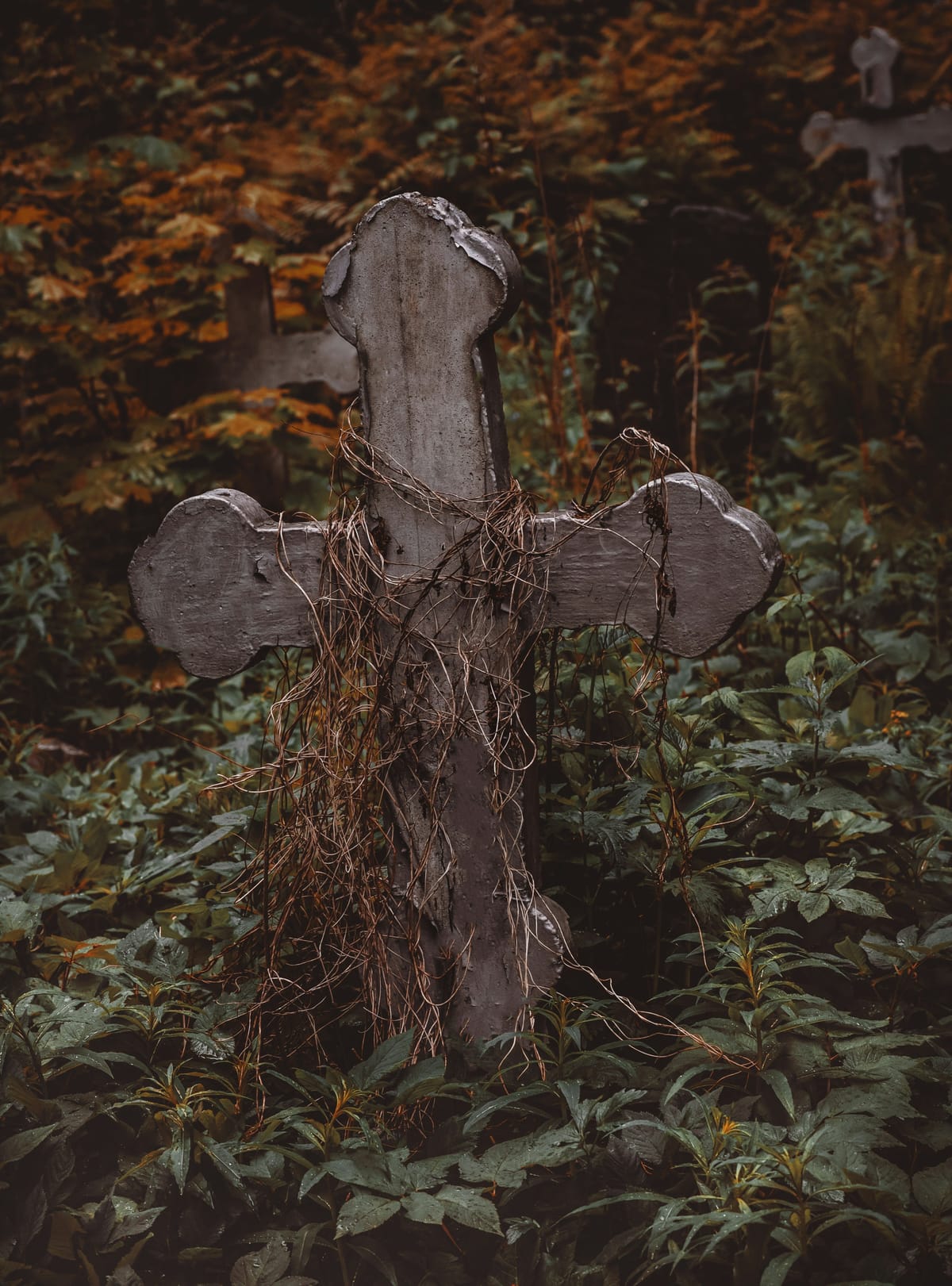 On The Day Of James Dobson's death